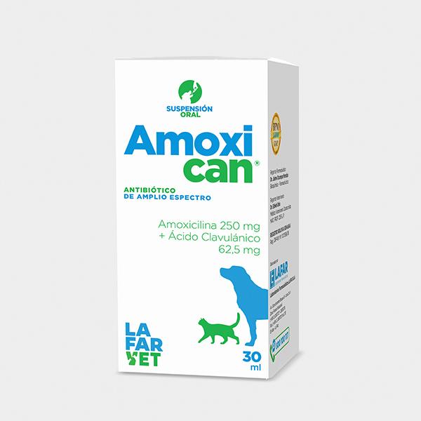 AMOXICAN 250/62,5 MG FRASCO X 30 ML SUSPENSIÓN
